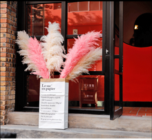 Load image into Gallery viewer, 20inch Grey Cream Blush Mint Green Large Pampas Grass 5pcs for wedding centerpiece Decoration - Dancefeather