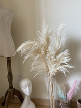Load image into Gallery viewer, 20inch Cream Natural Large Pampas Grass 20pcs for wedding centerpiece Decoration - Dancefeather