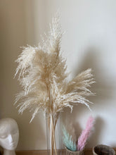 Load image into Gallery viewer, 20inch Cream Natural Large Pampas Grass 20pcs for wedding centerpiece Decoration - Dancefeather