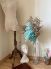 Load image into Gallery viewer, 20inch Cream Natural Large Pampas Grass 20pcs for wedding centerpiece Decoration - Dancefeather