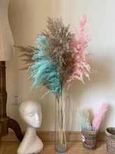 Load image into Gallery viewer, 20inch Cream Natural Large Pampas Grass 20pcs for wedding centerpiece Decoration - Dancefeather