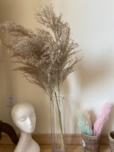 Load image into Gallery viewer, 20inch Grey Natural Large Pampas Grass 20pcs for wedding centerpiece Decoration - Dancefeather