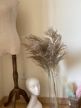 Load image into Gallery viewer, 20inch Grey Natural Large Pampas Grass 20pcs for wedding centerpiece Decoration - Dancefeather