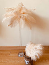 Load image into Gallery viewer, 100Champagne/Blush/peach/off white Ostrich feathers for wedding centerpiece - Dancefeather
