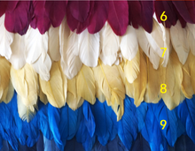 Load image into Gallery viewer, 2Yards 10-15cm wide Turkey feather trimming - Dancefeather
