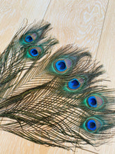 Load image into Gallery viewer, 5PCS 10inch Peacock Feathers  for wedding centerpiece - Dancefeather
