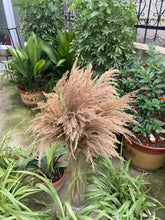 Load image into Gallery viewer, 20inch Cream Natural Large Pampas Grass for wedding centerpiece Decoration