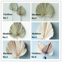 Load image into Gallery viewer, 6stems 20inch dried leaves ,dried botanical,handmade flower arrangement,home decor