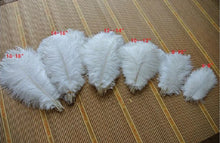 Load image into Gallery viewer, White ostrich feathers in assorted sizes 6-18 inches for dance fans, burlesque props, and bridal accessories