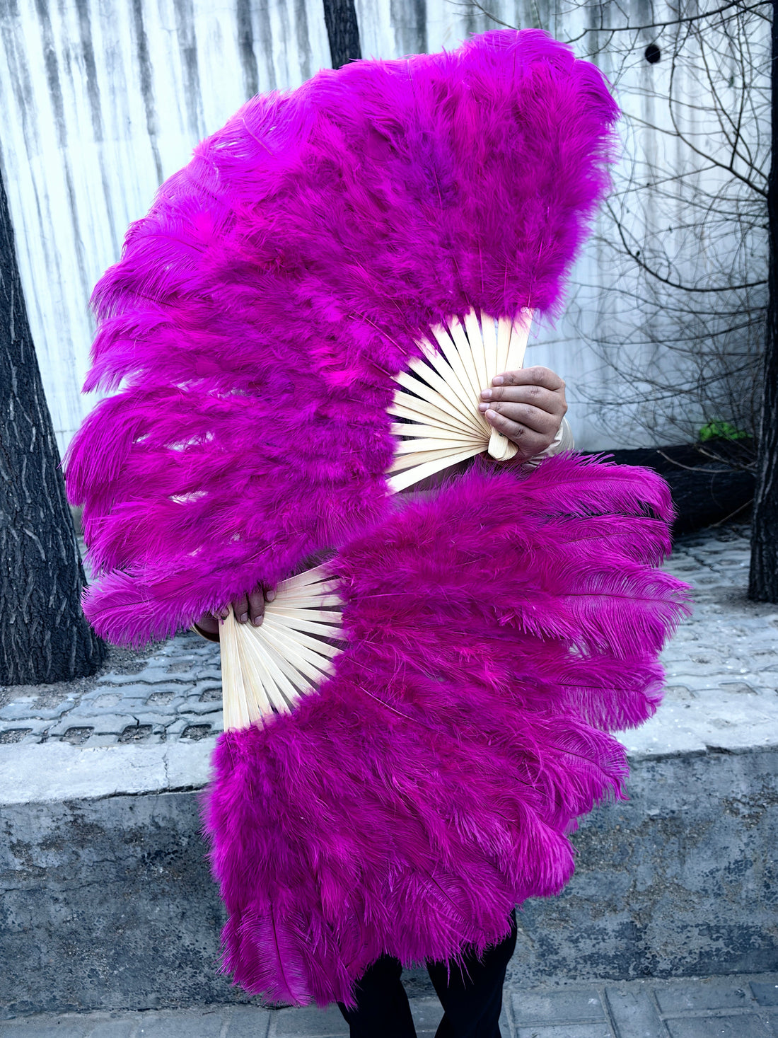 How to protect a feather fan