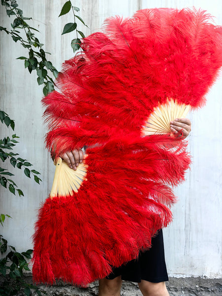 What are the details of the ostrich feather fans?