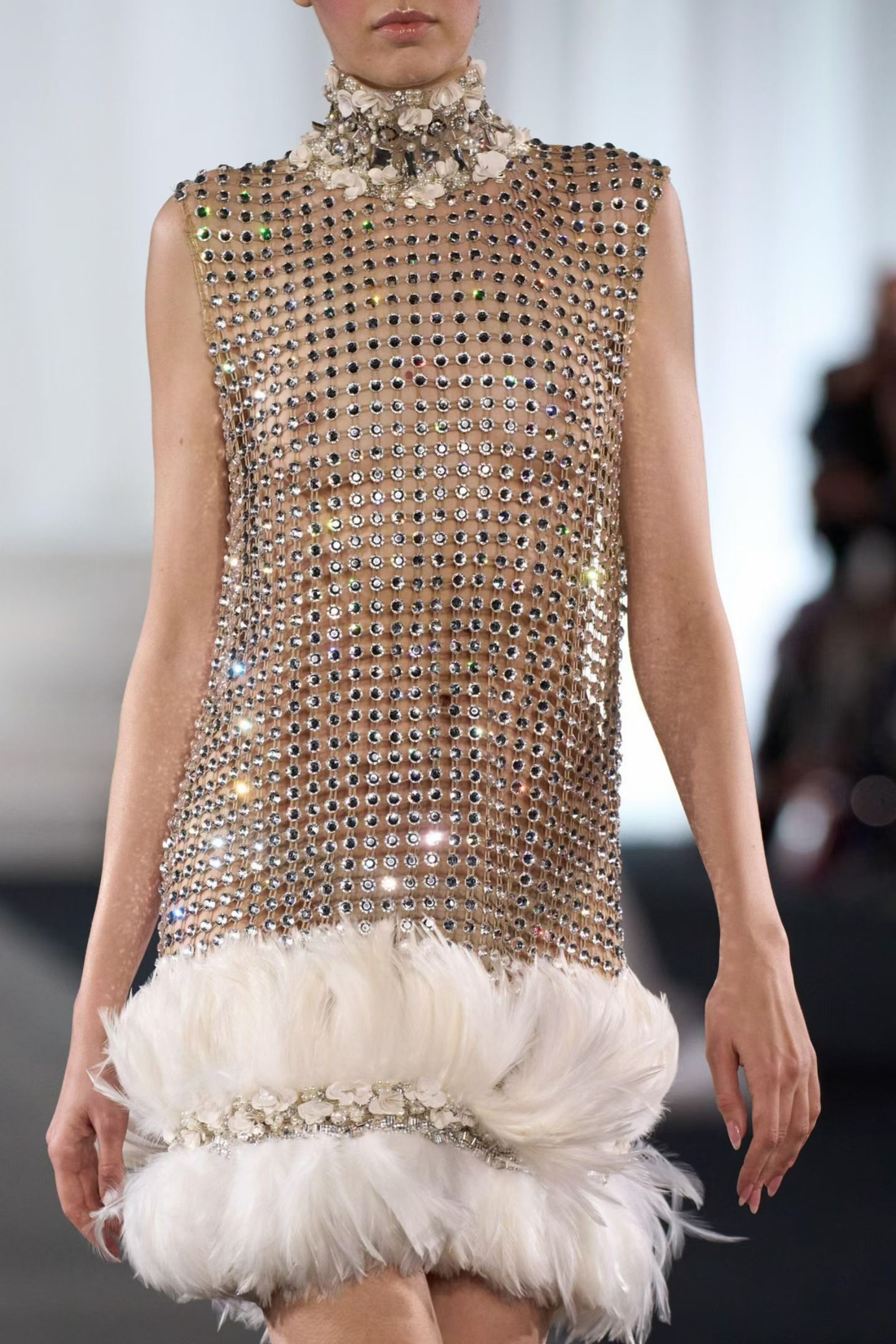 Feathers in High Fashion: From Oscar Red Carpets to Couture Runways