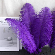 Load image into Gallery viewer, 100/lot One color Ostrich feathers for wedding centerpiece DIY Hat Milliery
