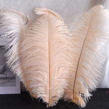 Load image into Gallery viewer, 50 Black &amp; 50 Champag Ostrich feathers for wedding centerpiece
