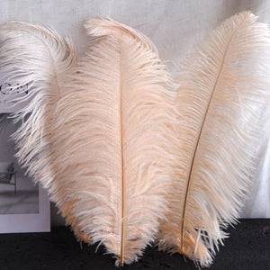 50 Black & 50 Champag Ostrich feathers for wedding centerpiece