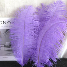 Load image into Gallery viewer, 100/lot One color Ostrich feathers for wedding centerpiece DIY Hat Milliery
