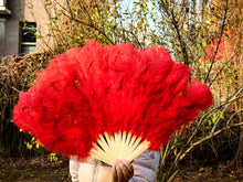 Load image into Gallery viewer, 20x36inch Large Red Ostrich Feather Fan Burlesque Dance feather fan Bridal Bouquet
