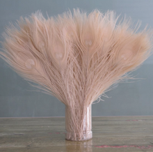 Load image into Gallery viewer, 12PCS 10inch Peacock Feathers  for wedding centerpiece Halloween Costumes Craft Bridal Vases DIY Home Decor
