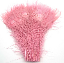 Load image into Gallery viewer, 12PCS 10inch Peacock Feathers  for wedding centerpiece Halloween Costumes Craft Bridal Vases DIY Home Decor
