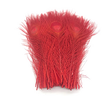 Load image into Gallery viewer, 12PCS 10inch Peacock Feathers  for wedding centerpiece Halloween Costumes Craft Bridal Vases DIY Home Decor
