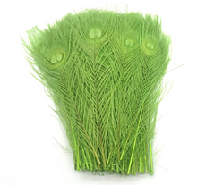 Load image into Gallery viewer, 12PCS 10inch Peacock Feathers  for wedding centerpiece Halloween Costumes Craft Bridal Vases DIY Home Decor
