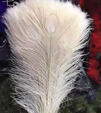 Load image into Gallery viewer, 12PCS 10inch Peacock Feathers  for wedding centerpiece Halloween Costumes Craft Bridal Vases DIY Home Decor
