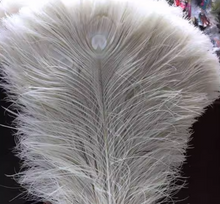 Load image into Gallery viewer, 12PCS 10inch Peacock Feathers  for wedding centerpiece Halloween Costumes Craft Bridal Vases DIY Home Decor
