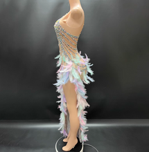 Load image into Gallery viewer, Dancefeathers Burlesque  Party Feather Maxi Dress Skirt
