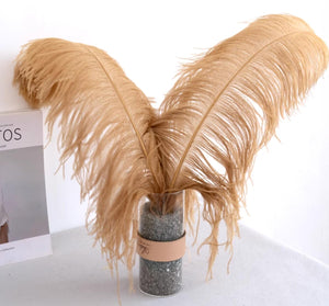 100 Brown Ostrich feathers for wedding centerpiece