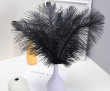 Load image into Gallery viewer, 50 Black &amp; 50 Champag Ostrich feathers for wedding centerpiece
