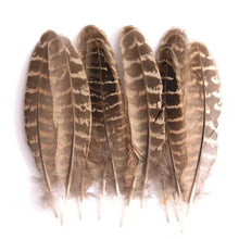 Load image into Gallery viewer, Classic almond pheasant "church window" feathers, golden brown tones for traditional fly tying and crafts.
