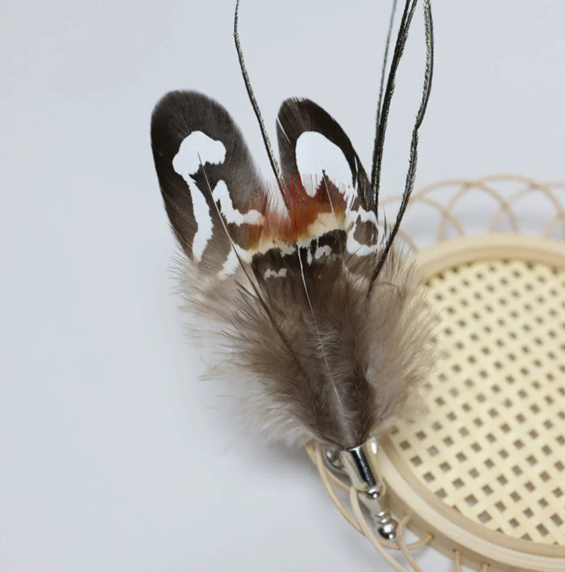 Black and brown feather boutonniere, formal lapel pin for groom suits and events