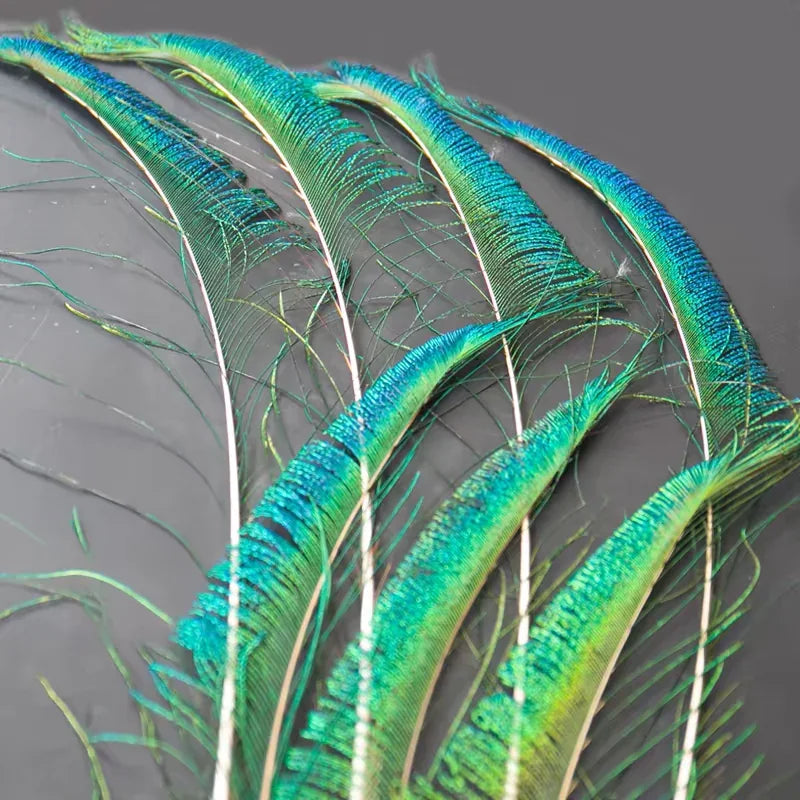 Natural peacock feather strands, iridescent feathers for crafts, jewelry making and costume design
