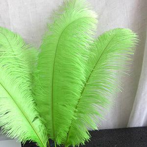 100/lot One color Ostrich feathers for wedding centerpiece DIY Hat Milliery