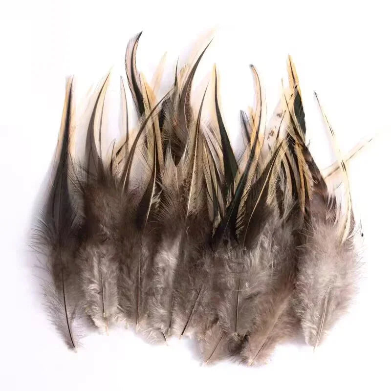Premium dark brown pheasant plumage feathers, wholesale craft supplies for garment trimming.