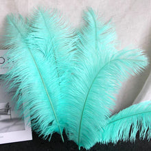 Load image into Gallery viewer, 100/lot One color Ostrich feathers for wedding centerpiece DIY Hat Milliery
