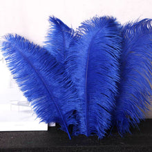 Load image into Gallery viewer, 100/lot One color Ostrich feathers for wedding centerpiece DIY Hat Milliery
