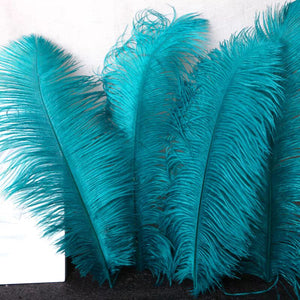 100/lot One color Ostrich feathers for wedding centerpiece DIY Hat Milliery