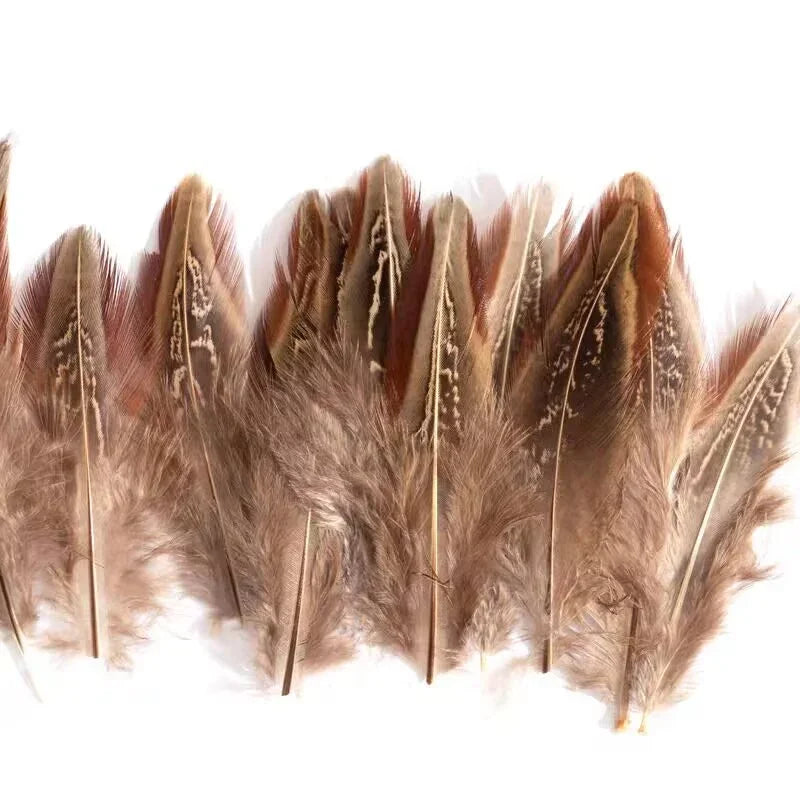 Small golden brown pheasant plumage feathers with natural dark edges for jewelry and millinery.