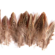 Load image into Gallery viewer, Small golden brown pheasant plumage feathers with natural dark edges for jewelry and millinery.

