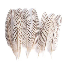 Load image into Gallery viewer, Soft light grey pheasant feathers with subtle natural patterns, delicate texture for fashion design.
