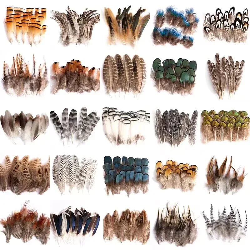 Assorted natural pheasant feathers bulk pack, multi-color and multi-style plumage for arts, crafts, dreamcatchers, and party decor projects.