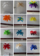 Load image into Gallery viewer, Multi-color ostrich feathers swatch for wedding centerpieces, showing different color options for event decor
