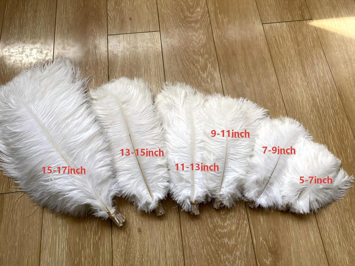 Ostrich feather size details guide, showing feather length and density for centerpieces and crafts