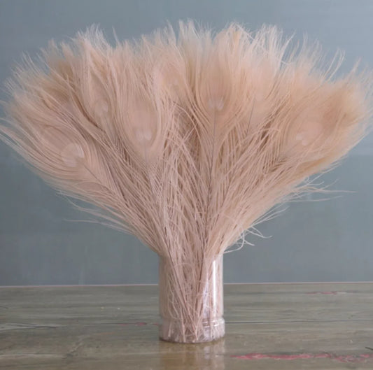  peacock feathers nude