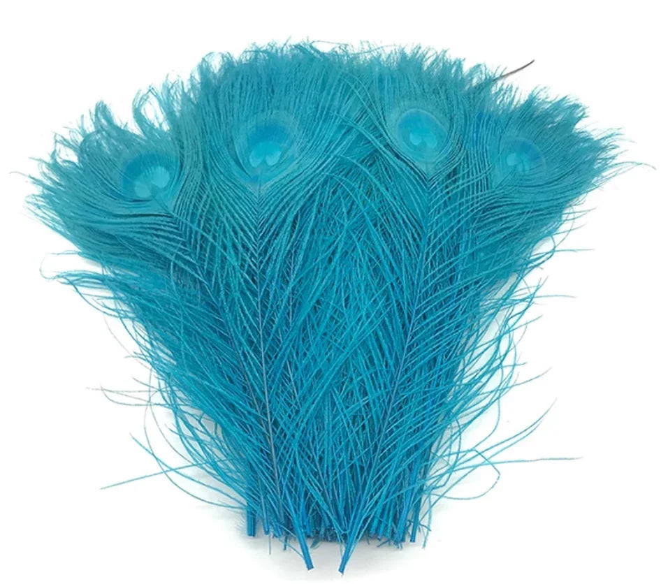  peacock feathers