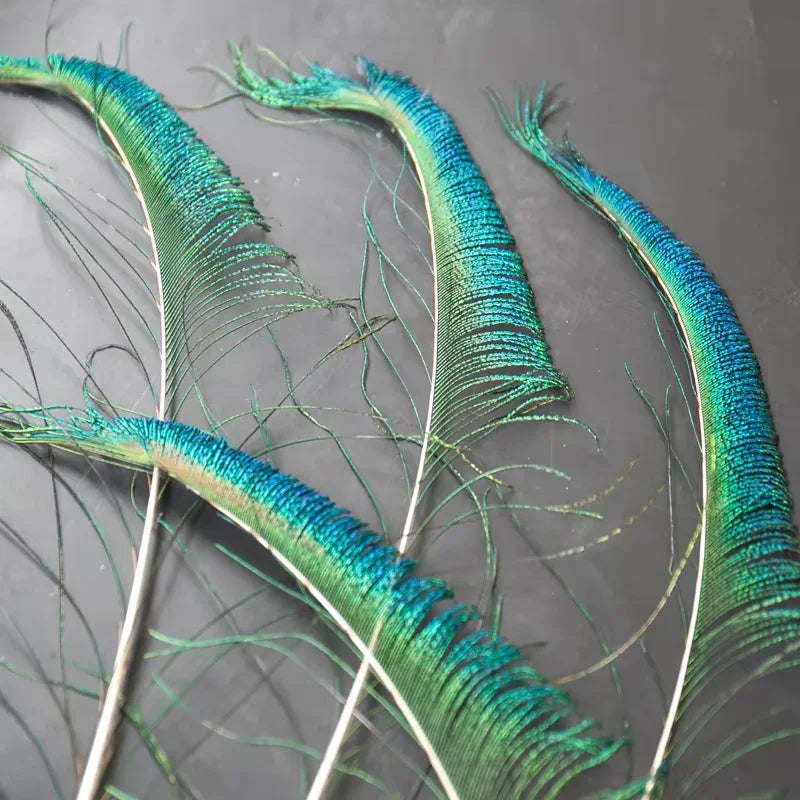 Natural peacock feather strands, iridescent feathers for crafts, jewelry making and costume design