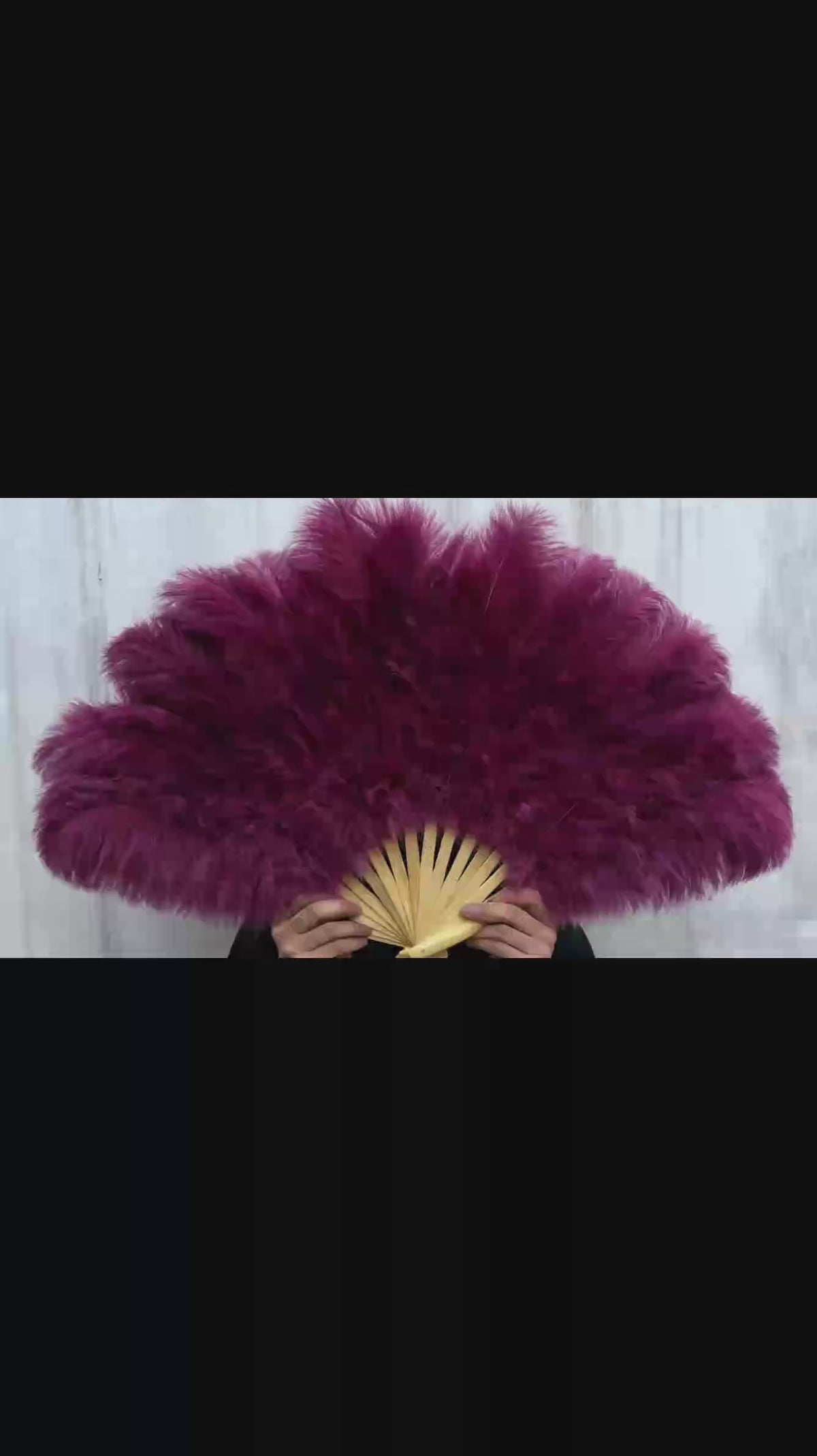 exotic colored feather fan