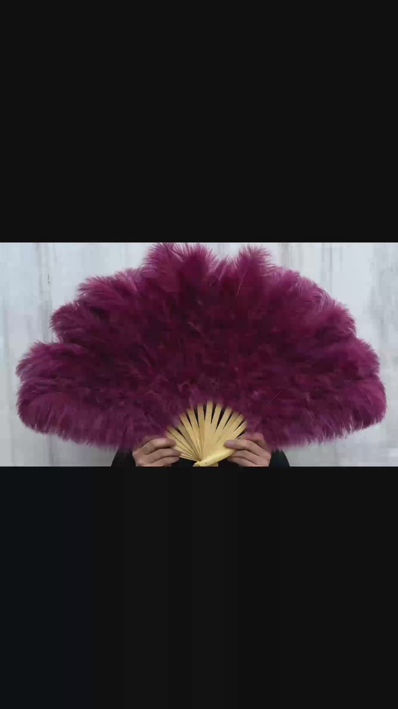 exotic colored feather fan