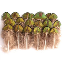 Load image into Gallery viewer, Ringneck pheasant "church window" feathers with distinct gold and brown almond patterns.
